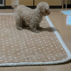 見えない敵と戦うの画像