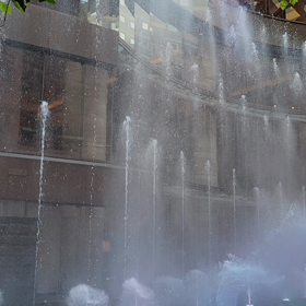 夕方・・・散歩がてらの画像