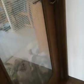 おさんぽ行きたいワン♬の画像