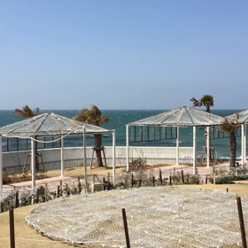 知多半島でmeatの画像