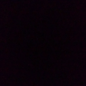 モモンガなのにワンワンの画像