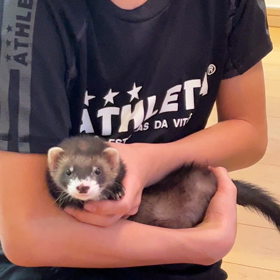 小学校一早かったらしいの画像