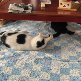 透析から離婚への画像