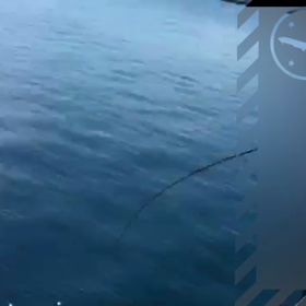 タ◯がかかってしまった前編。の画像