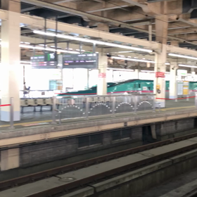 きょうの緑色の画像