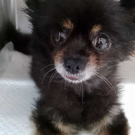 家と土地があっても　お金が無い(｡•́︿•̀｡)の画像