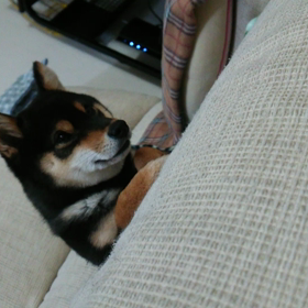 寝てないでちゅよ‼の画像