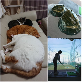 ＊永年勤続の画像