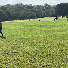 1000m(9月28日)⑤の画像