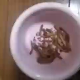 ミールワームの画像