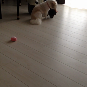 簡単にお金持ち⁈の画像