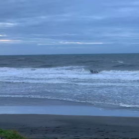 9月19日千葉北、東浪見の朝の波の画像