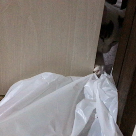 脱走成功❗️の画像