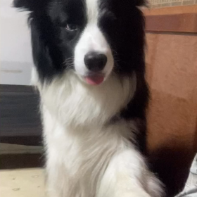 雨に泣かされますねの画像