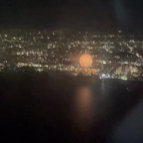 たぁ〜まやぁ〜の画像