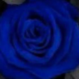 久しぶりに歌ってみましたの画像