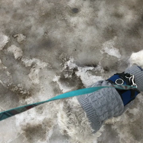 卒業”新しい家族ができました。”の画像