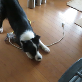 アイちゃんのだ！の画像