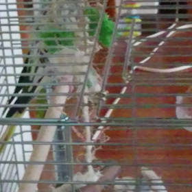 ちょっと上達したかもの画像