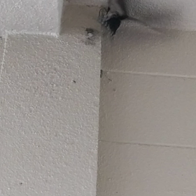 つばめ(^-^)の画像