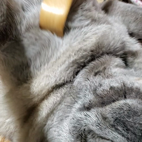 まごのての画像