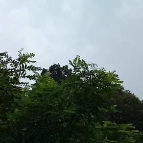 ゲリラ豪雨の画像