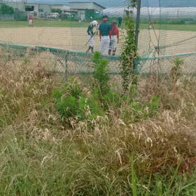 肩が痛いって・・・の画像