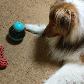 ねぇ〜え〜の画像