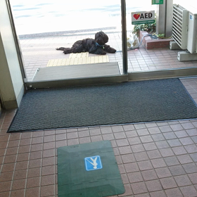 銀行前でstayの練習の画像