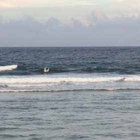 スーサイド波情報❗️《9/10》の画像