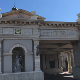 ミラコスタ脇　ピクニックエリアでお花見♪の画像