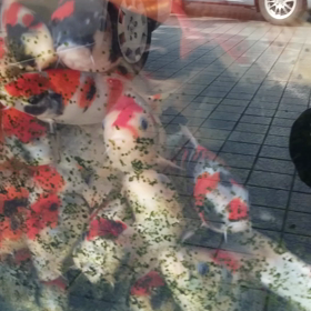 予報通りの画像