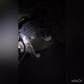 夜道は危険がいっぱいの画像