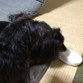 混合ワクチンとお薬の画像