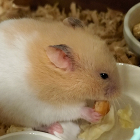 うまうま(o´艸`)たぁ～いむっ (๑•̀ㅂ•́)و✧の画像