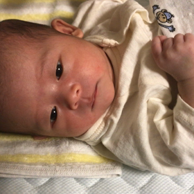 産後2週間の画像