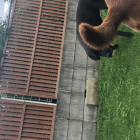 お隣の…の画像