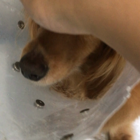 2018年5月15日 入院2日目の画像