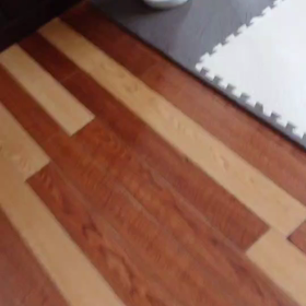 アンちゃんの画像