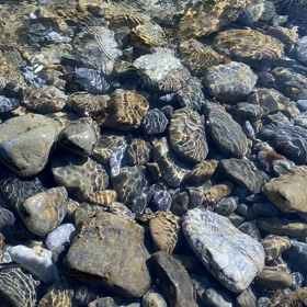 自分を応援の画像