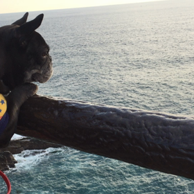 小梅ちゃんピンチ‼️三段壁にてσ(≧ε≦ｏ) の画像