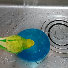 インコのピーちゃんの水浴びの画像