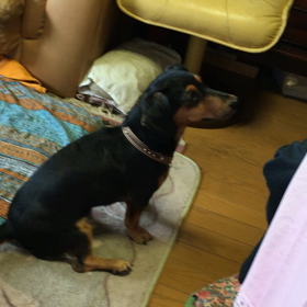 おやつを貰うアトムの画像