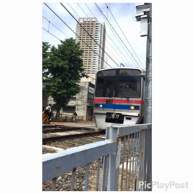 ŧ‹"(o'ч'o)ŧ‹"ŧ‹の画像