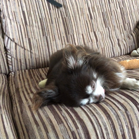 6月終わりの画像