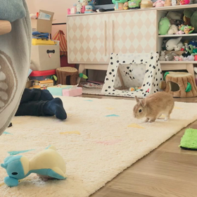 モキュ様！ムーンウォークをする！の画像