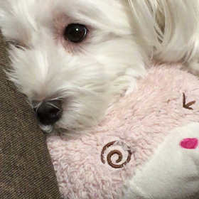 見られてると眠れないもんの画像