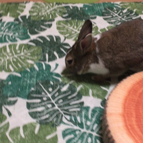 原因は…まさかの…の画像