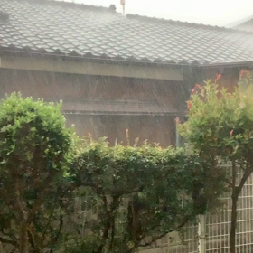 凄い雨の画像