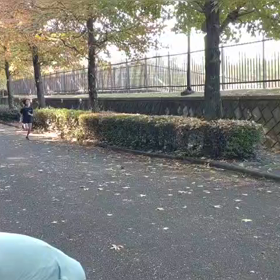 1000m ゴール①の画像